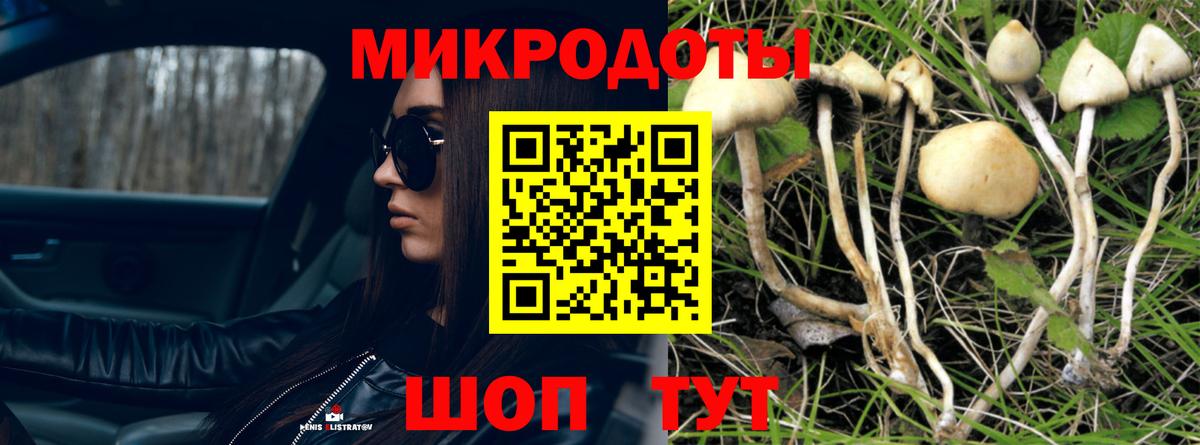 Псилоцибиновые грибы Psilocybine cubensis  Вход с VPN  наркотики  Сосновоборск 