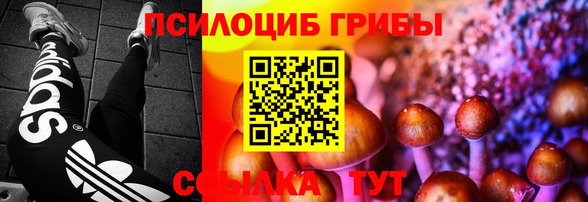 Псилоцибиновые грибы MAGIC MUSHROOMS Сосновоборск